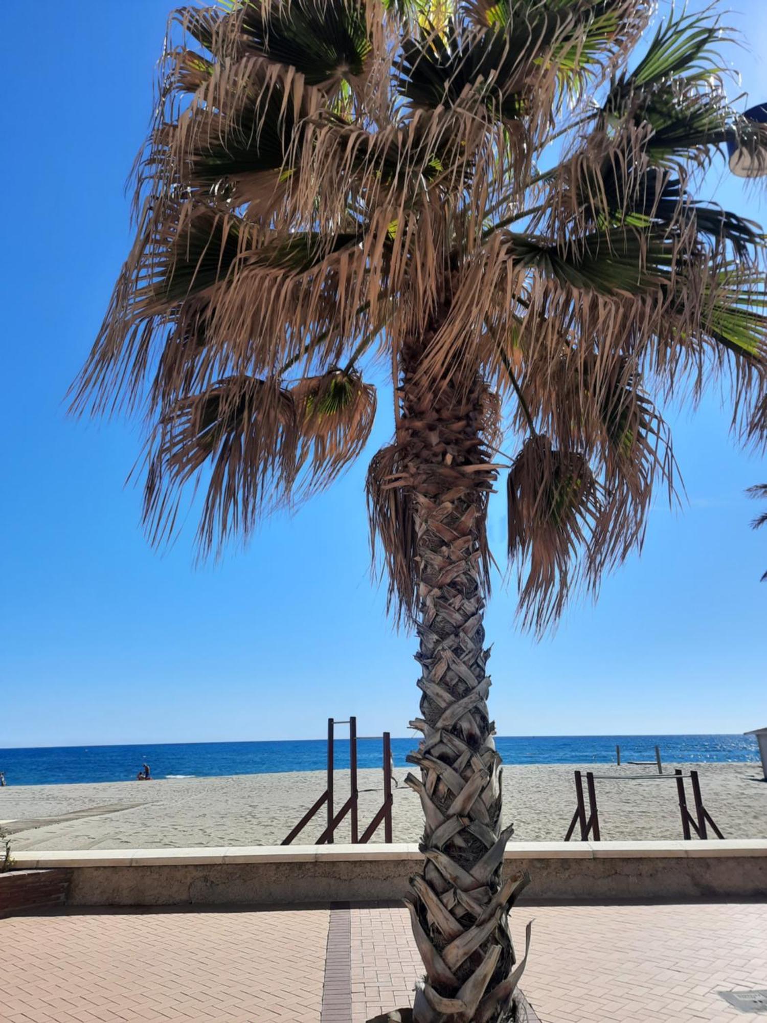 Fuengirola Apartment Carvajal Front Line Primera Linea מראה חיצוני תמונה